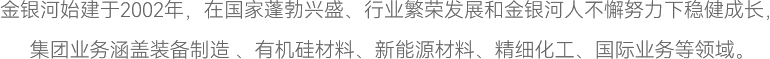 金銀河始建于2002年，在國(guó)家蓬勃興盛、行業(yè)繁榮發(fā)展和金銀河人不懈努力下穩(wěn)健成長(zhǎng)，
集團(tuán)業(yè)務(wù)涵蓋裝備制造 、有機(jī)硅材料、新能源材料、精細(xì)化工、國(guó)際業(yè)務(wù)等領(lǐng)域。